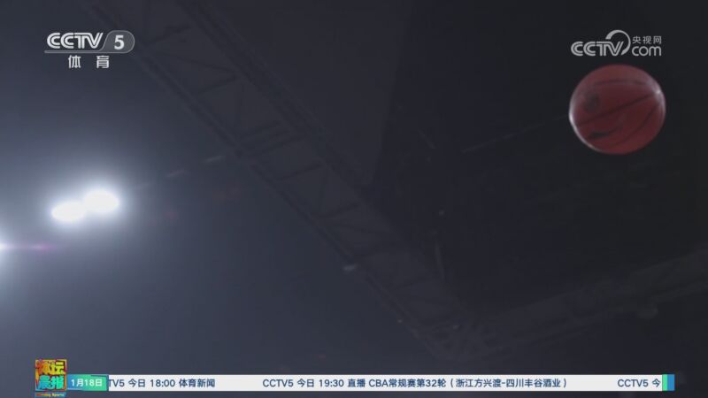 类似情况对